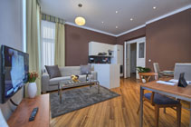 Spacious studio rent in Prague with high value